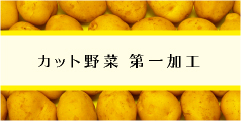 hfc_hp_top_banner2_01