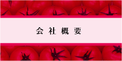hfc_hp_top_banner3_01